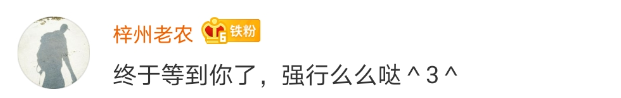 李子柒消失的55天里，1.8亿人被他们治愈