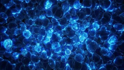 Nature子刊研究颠覆常识：视网膜计算使眼睛先于大脑产生视觉信息