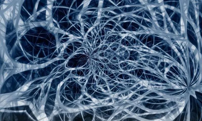 Nature子刊研究颠覆常识：视网膜计算使眼睛先于大脑产生视觉信息