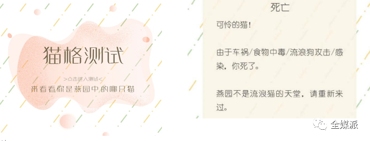 北大学生给流浪猫做的小程序火了，他们怎么看待这次意外走红？