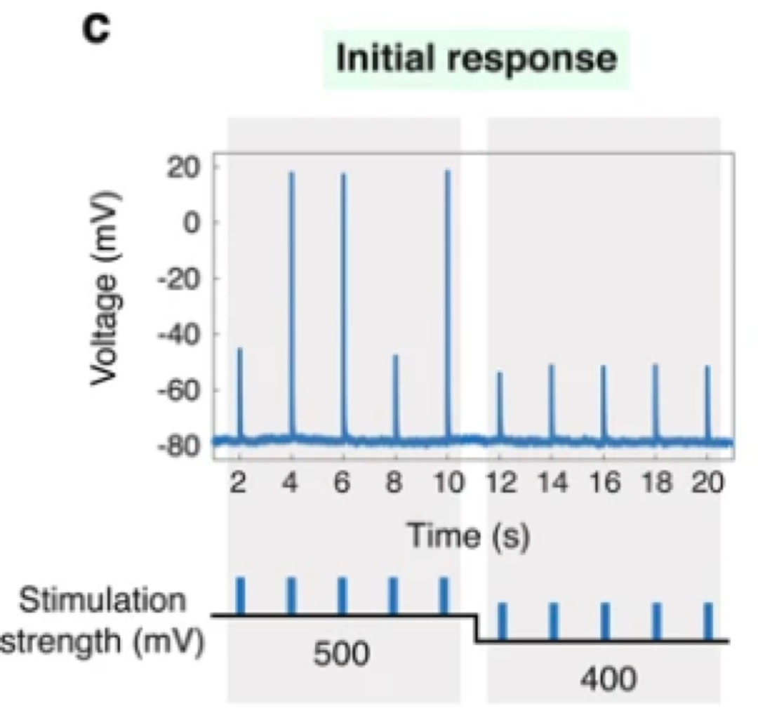 v2_f222cbc0eead40beb0818daf1431b664_img_000