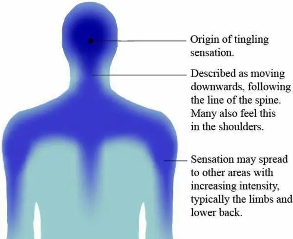 全球首个 ASMR 博物馆来了，谈它不再「色变」