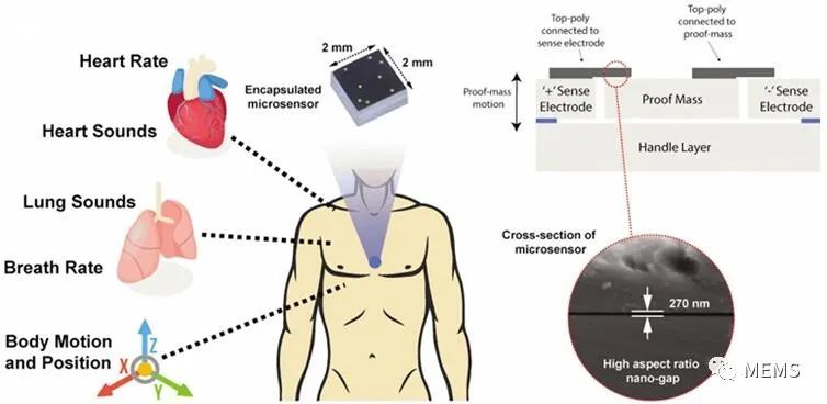 潮科技 | 科学家研发非侵入式传感器，可监测人体心肺健康状况