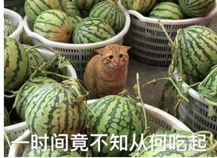 成人视频网站也遭遇数据泄露，姓名、性取向等108亿条数据曝光，含53万中国用户