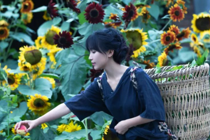 背后资本揭秘：李子柒3年全球粉丝过亿，爆红IP是如何炼成的？