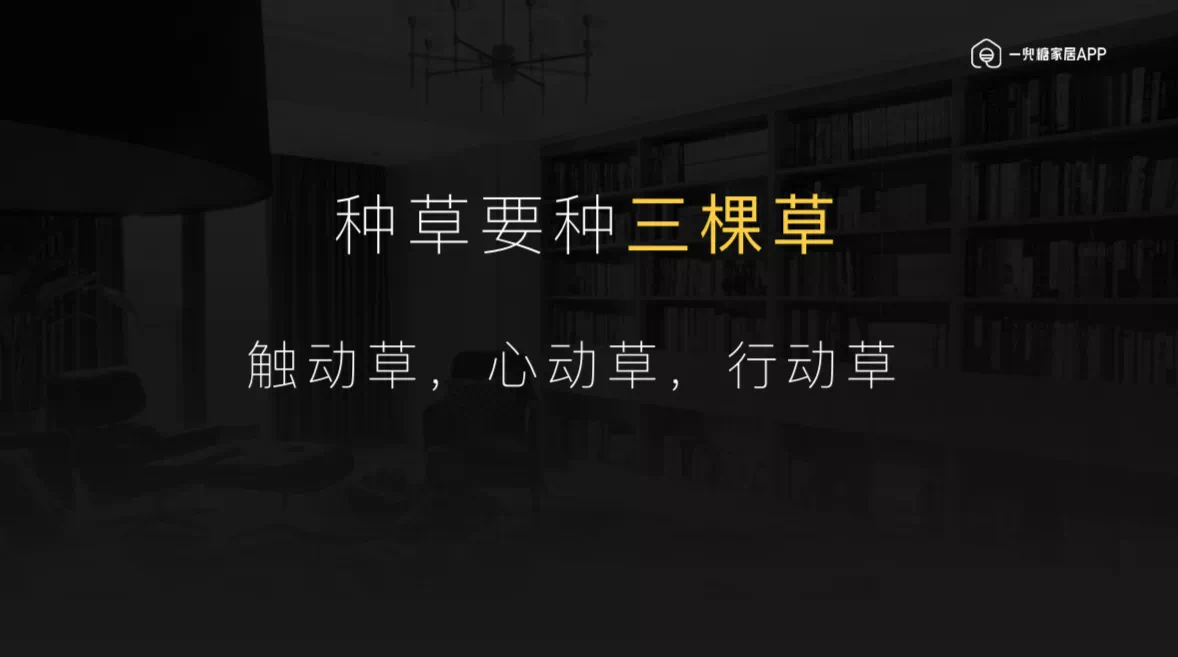 想要“割草”？请先“种草”，一兜糖家居的直播新打法