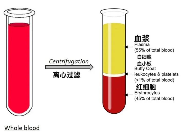 1毫升卖4万美元，有人把新冠康复者血浆变成了摇钱树