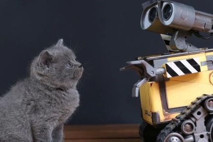 人工智能理解常识的数十年挑战，如何让 AI 不再“智障”？