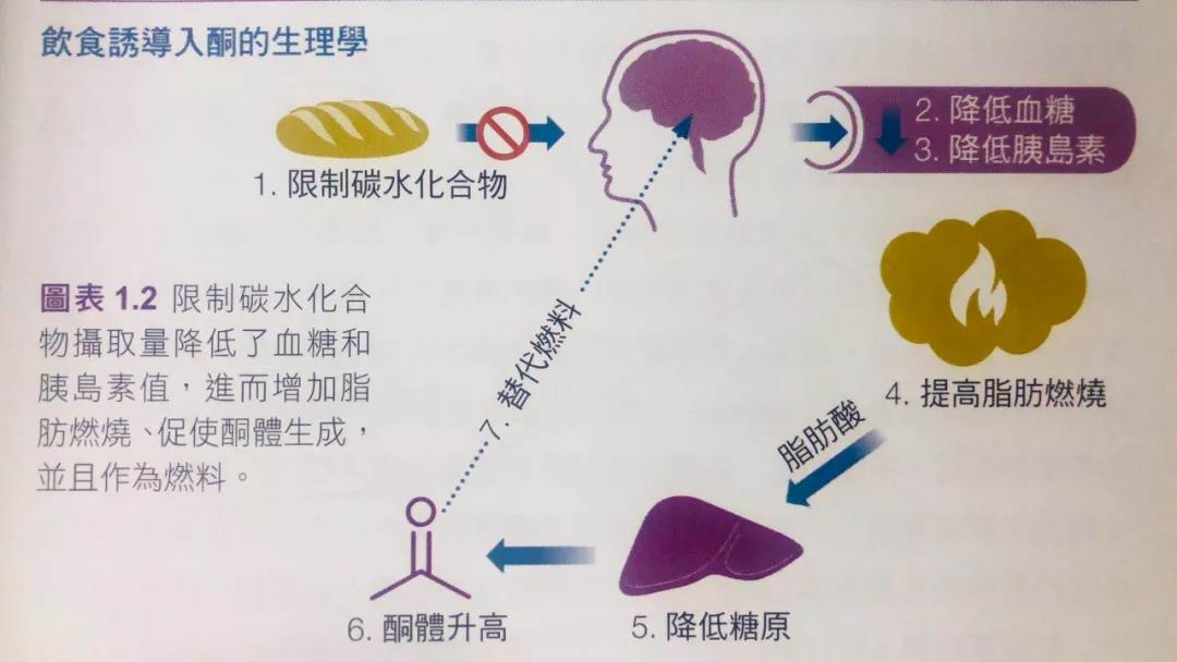 已经流行一阵子的生酮饮食法，还藏着多少商机？