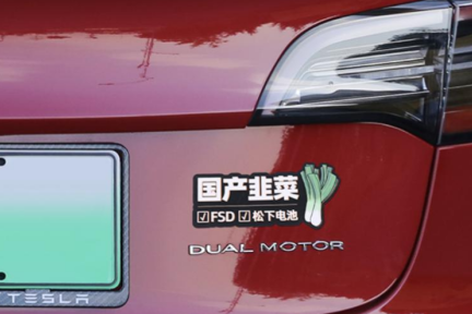 特斯拉降价为何苦了自主新能源车？