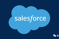 Salesforce：沙砾里的金丝雀？