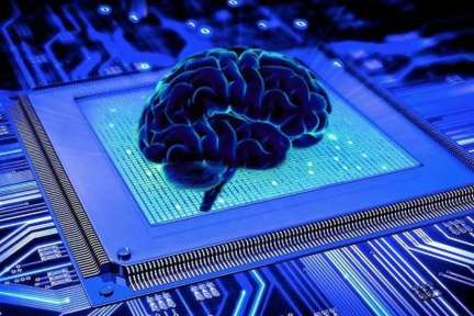 AI 终极问题：我们的大脑是一台超级计算机吗？