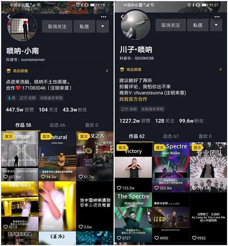 抖音音乐 唢呐 一个人_抖音收入高还是快手收入高_快手抖音挣钱