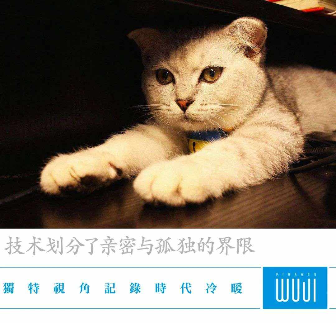 “云铲屎”俘获了谁的心