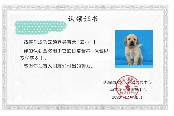 “云铲屎”俘获了谁的心