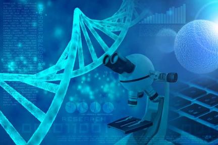 最前线丨永泰生物通过港交所聆讯，港股或将迎来第二家细胞免疫治疗企业