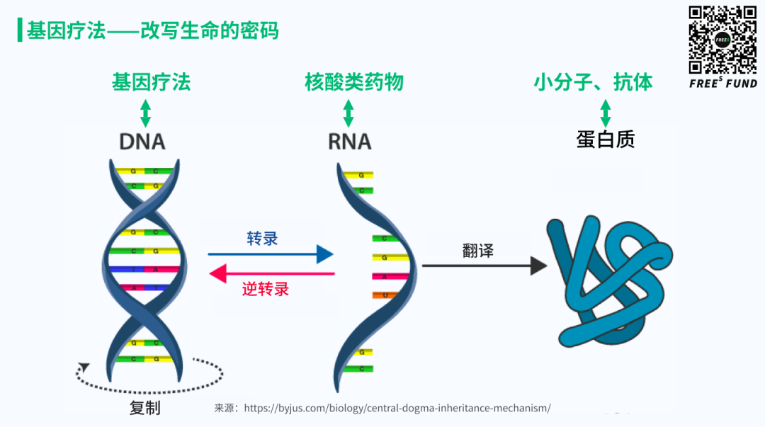 站在基因疗法的风口上