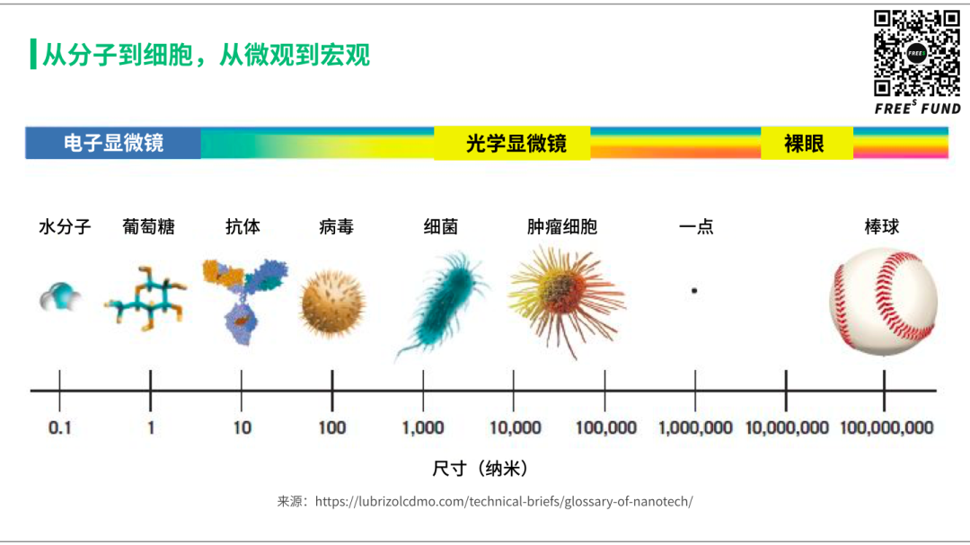 站在基因疗法的风口上