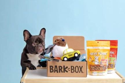 从订阅盒出发、All in 宠物，「Bark＆Co.」如何开发客户价值、将复购率拉至95%？