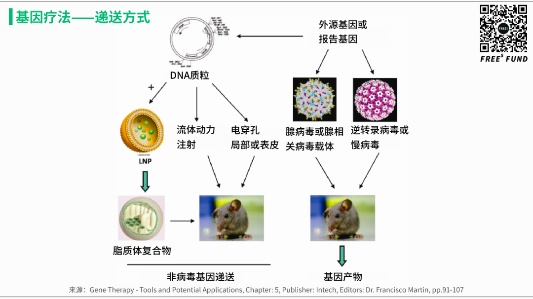 站在基因疗法的风口上