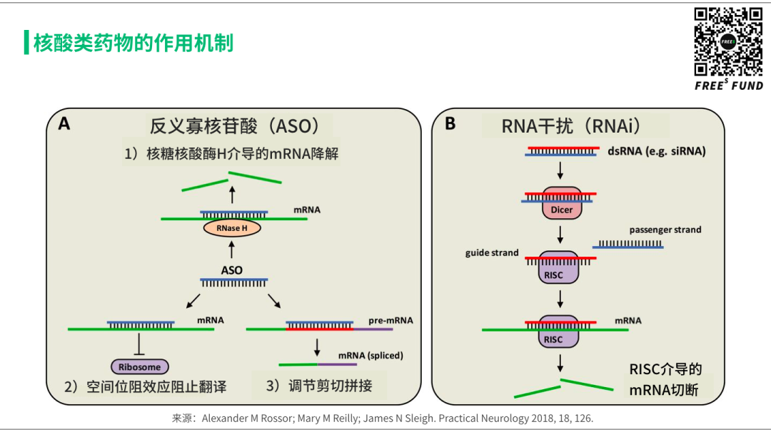 站在基因疗法的风口上