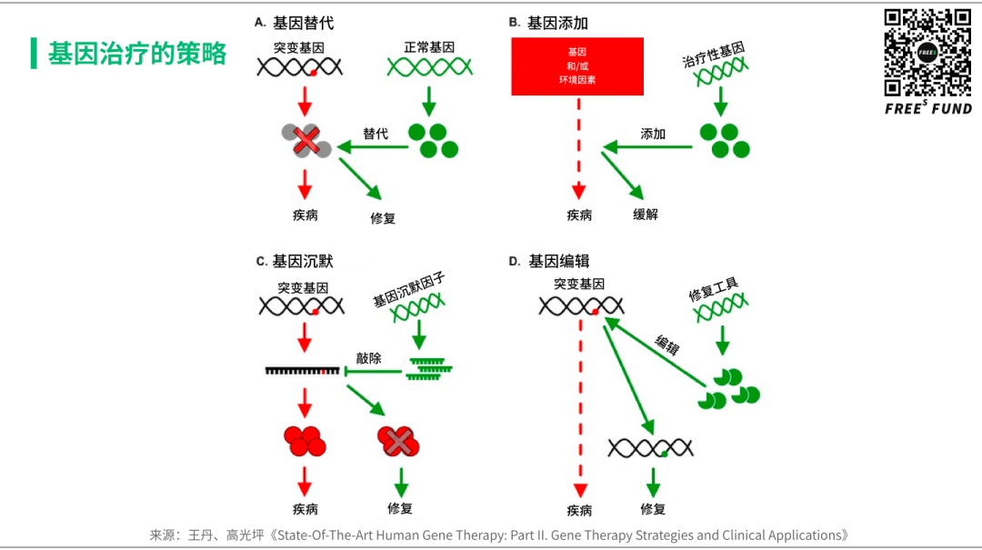 站在基因疗法的风口上