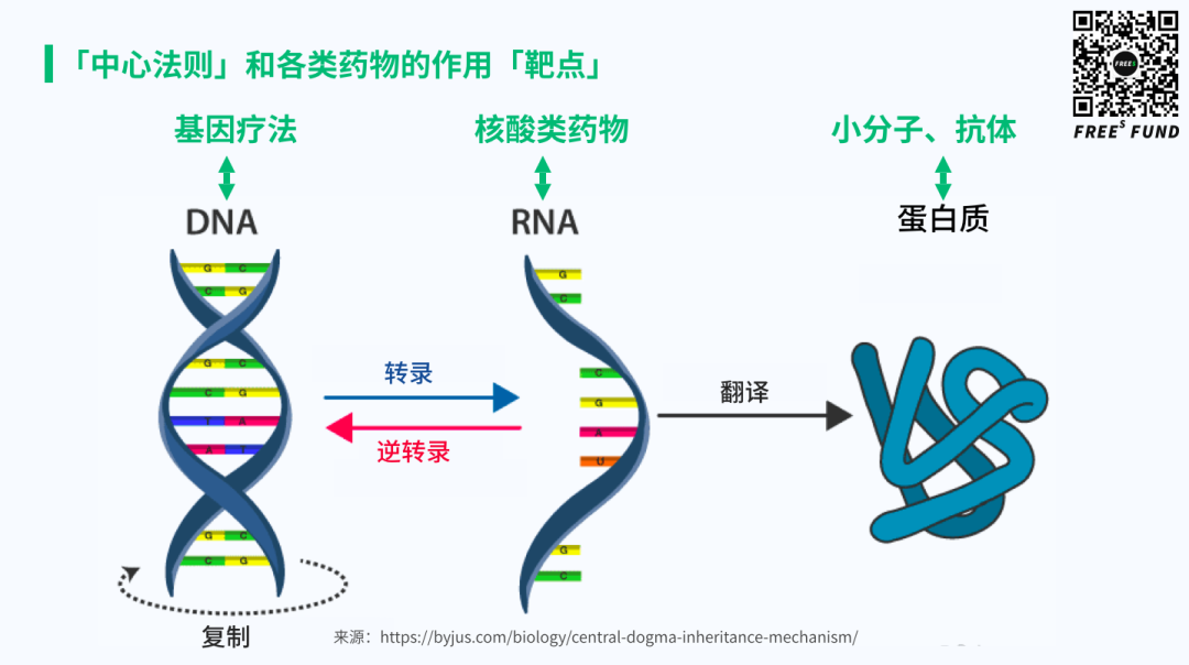 站在基因疗法的风口上