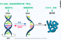 站在基因疗法的风口上