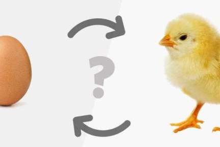 交易平台的增长③：你要如何去启动一个交易平台？