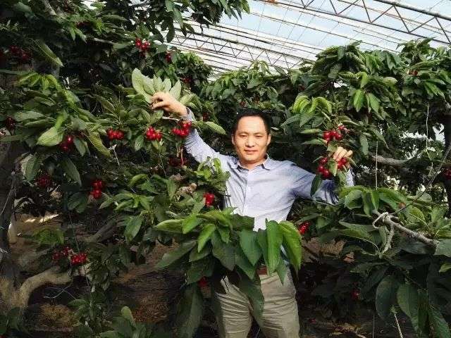 新发地：亚洲最大菜市场里的商业和江湖