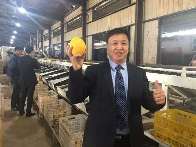 新发地：亚洲最大菜市场里的商业和江湖