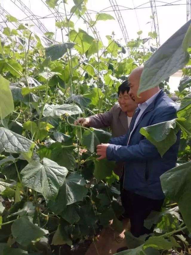 新发地：亚洲最大菜市场里的商业和江湖