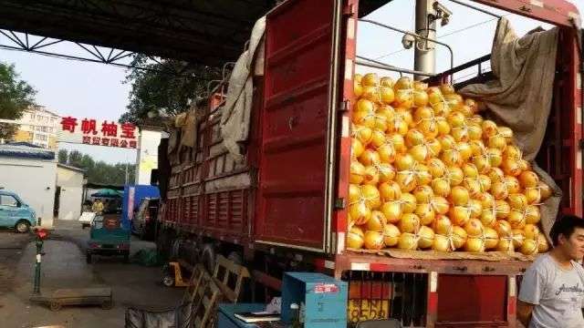 新发地：亚洲最大菜市场里的商业和江湖