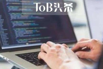 SaaS是「包治百病」的良药吗？