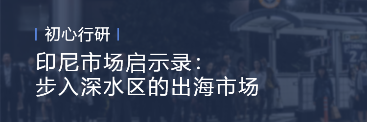 初心资本缪苗：后疫情时代的出海投资风口与挑战-初心分享