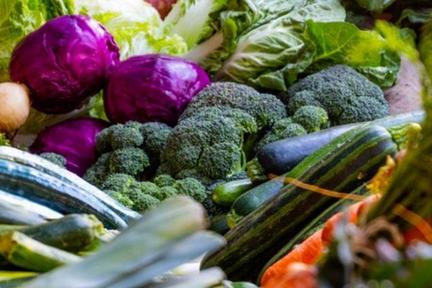 电脑批发城都不在了，为何新发地还很热闹？