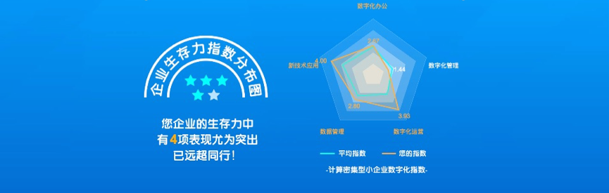 以确定挑战未知，AI独角兽的数字化新途