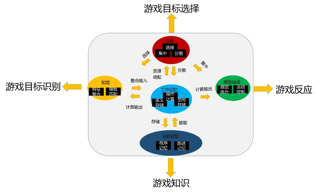 电子科大教授：游戏是如何让大脑“变聪明”的？