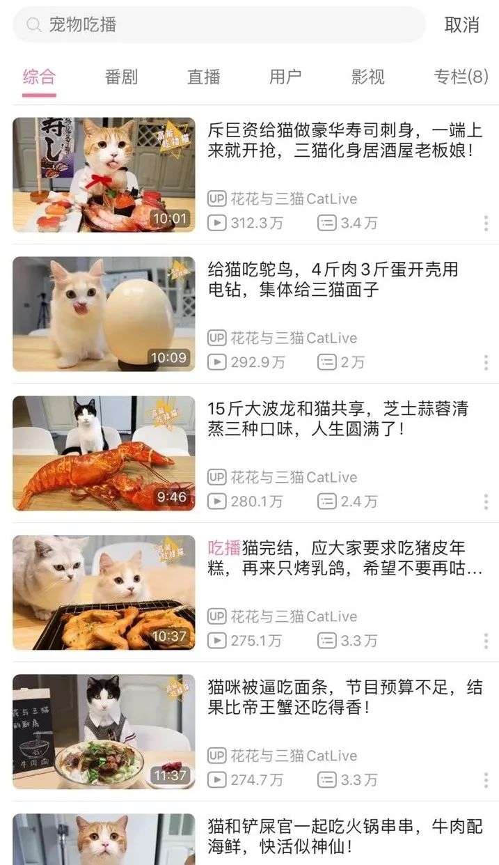 狗吃牛排、猫吃龙虾，1000万人围观的宠物吃播是怎样的生意？