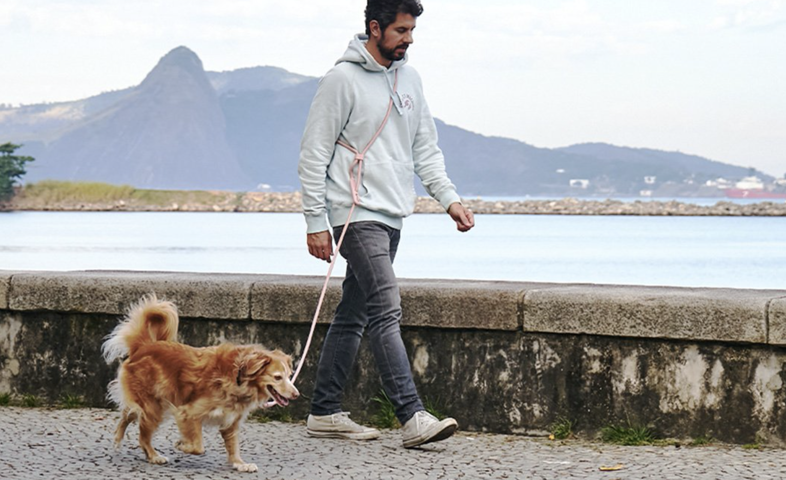 巴西宠物商店「Zee.Dog」获 1880 万美元融资，想做宠物领域的潮牌
