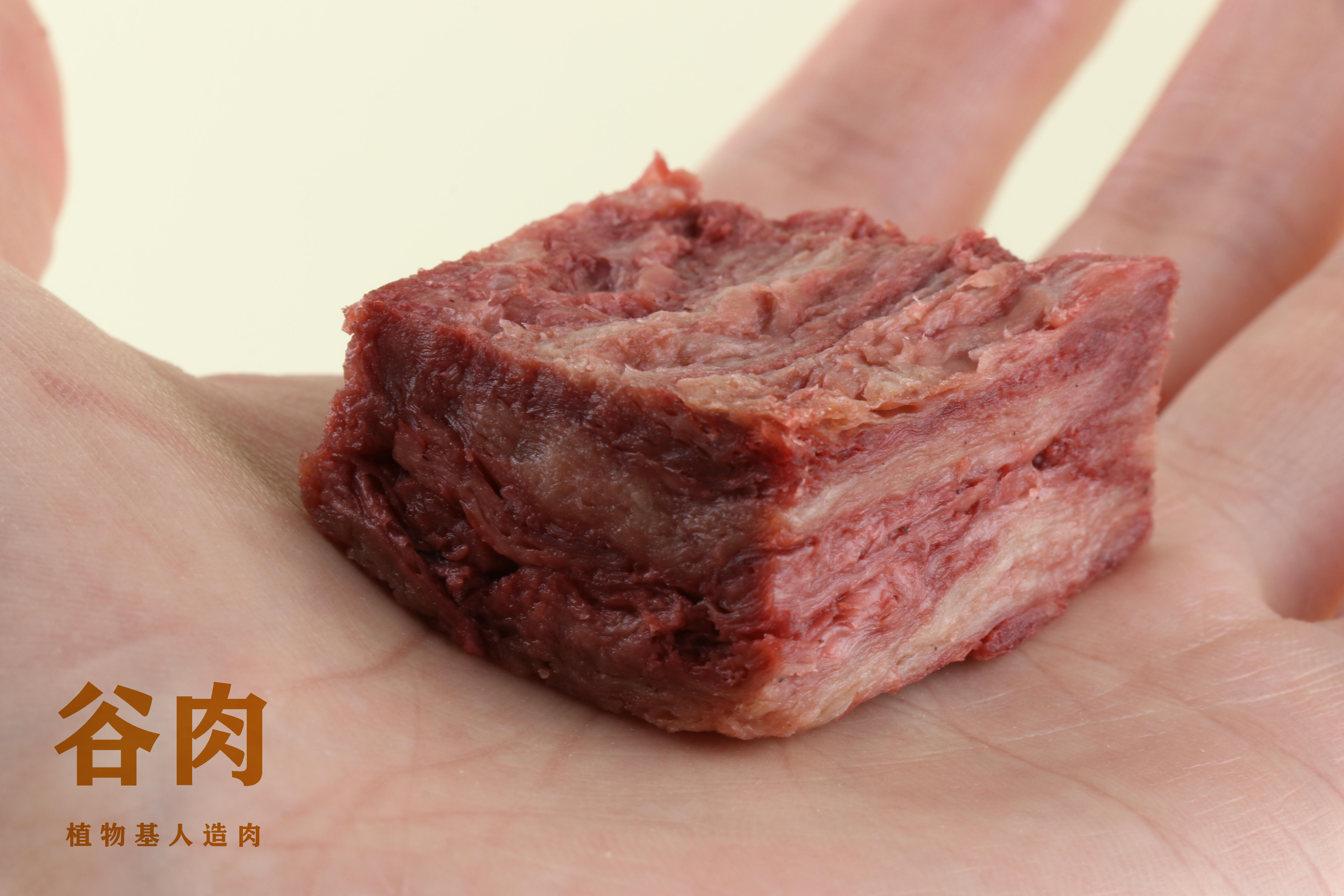 人造肉是如何制造的--探访人造肉制作公司_哔哩哔哩_bilibili