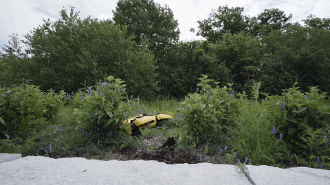 波士顿动力机器狗首个开箱视频：53万，我买到了啥？