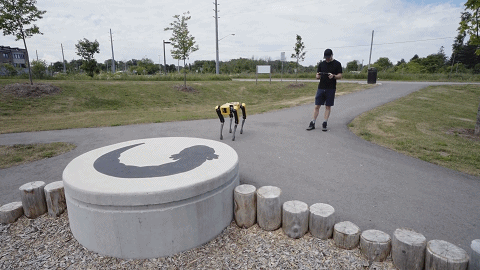 波士顿动力机器狗首个开箱视频：53万，我买到了啥？