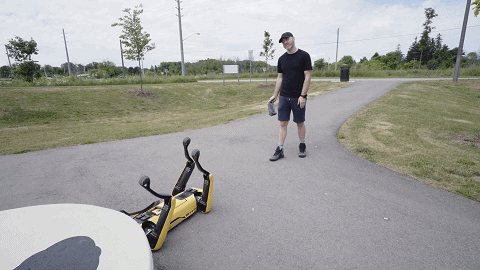 波士顿动力机器狗首个开箱视频：53万，我买到了啥？