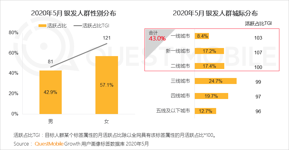 questmobile2020銀髮經濟洞察報告超1億用戶規模玩轉社交視頻電商銀髮