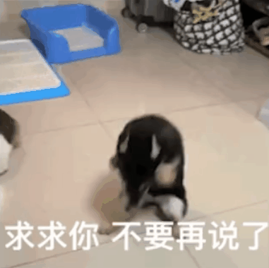 史上最魔幻品牌：靠贴牌一年狂赚13亿，0家工厂却撑起了581亿市值