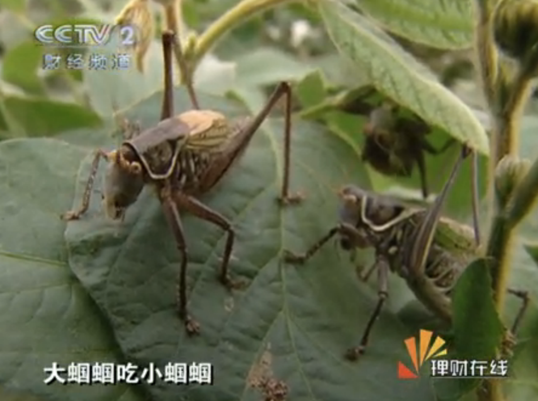 当年不看中央二套的你，错过了多少财富密码