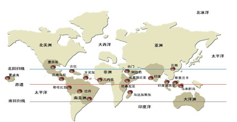 打入上流社会，中华土产的逆袭—BAI科全书