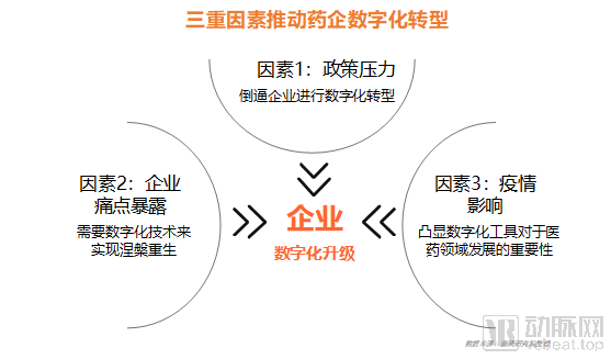 医药企业的数字化转型路径和发展趋势在哪？看看我们的答案