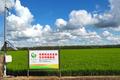 关注“菜篮子”安全 「佳掌柜」以“CSA生态直供”方式为传统农业升级赋能